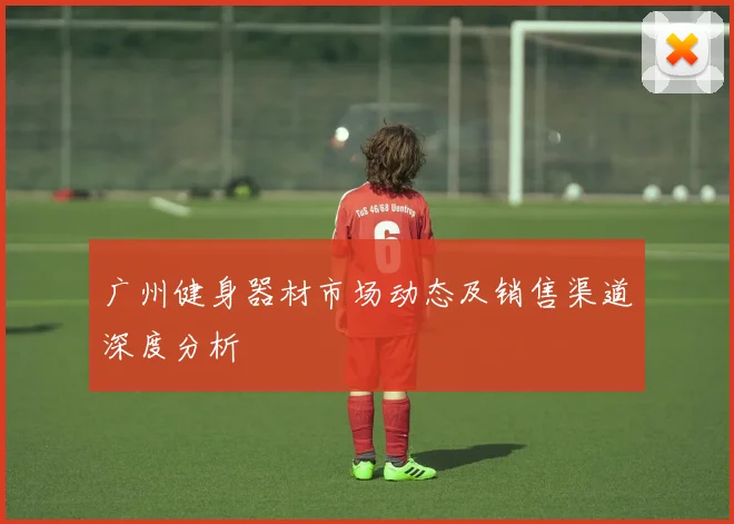 广州健身器材市场动态及销售渠道深度分析