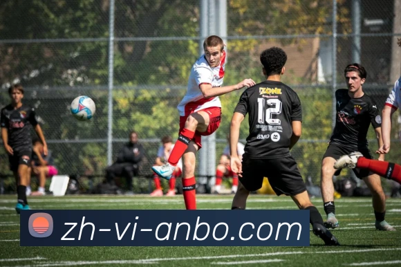 安博体育服务体系