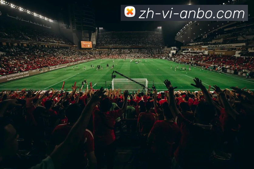 多媒体互动体验